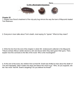 Chapter 25 1. Explain how Scout`s treatment of the roly