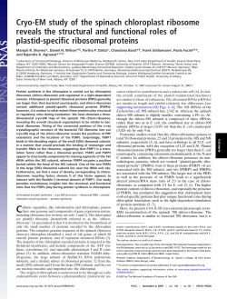 Cryo-EM study of the spinach chloroplast ribosome reveals the