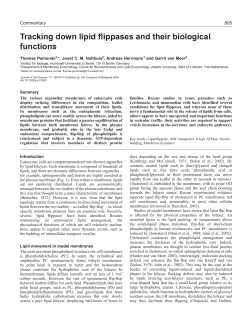 Tracking down lipid flippases and their biological functions