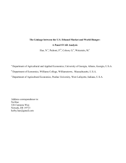 The Linkage between the US Ethanol Market and