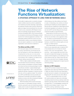The Rise of Network Functions Virtualization