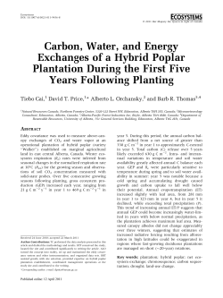 Carbon, Water, and Energy Exchanges of a Hybrid Poplar