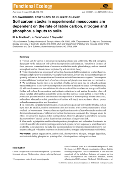 Soil carbon stocks in experimental mesocosms are dependent on