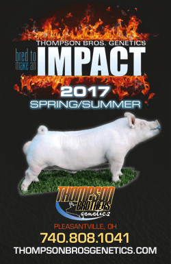 Boar Stud Spring/Summer Catalog