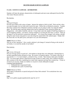 SECOND GRADE SCIENCE SAMPLER CLASS: SCIENCE