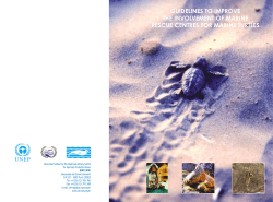 Guidelines to improve the involvement of marine rescue