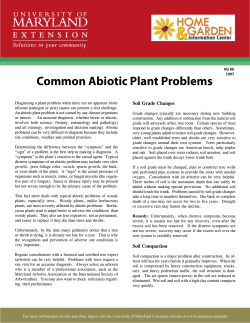 Common Abiotic Plant Problems - University of Maryland Extension