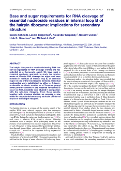 Base and sugar requirements for RNA cleavage of