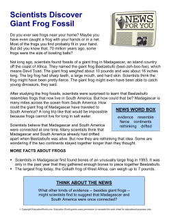 Scientists Discover New Rodent Species