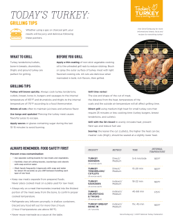 Tip Sheet. - Today`s Turkey
