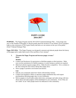 POPPY GUIDE 2016-2017 - The American Legion Auxiliary