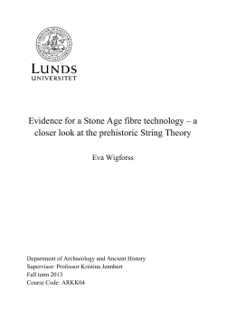 Evidence for a Stone Age fibre technology