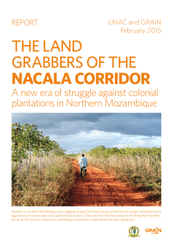 the land grabbers of the nacala corridor