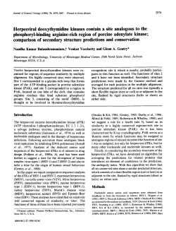 Herpesviral deoxythymidine kinases contain a site analogous to the