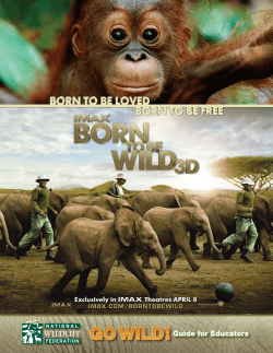 IMAX - Teacher Guide - Born To Be Wild 3D
