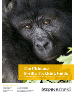 Gorilla Trekking Guide