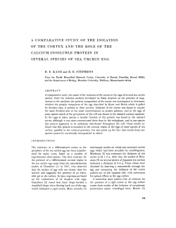 a comparative study of the isolation of the cortex