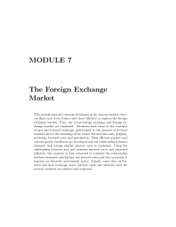MODULE 7 The Foreign Exchange Market