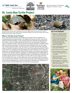 St. Louis Box Turtle Project