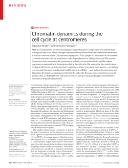Chromatin dynamics during the cell cycle at centromeres