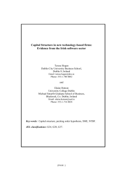 Capital structure in new technology-based firms
