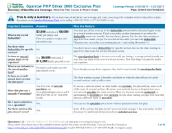 Sparrow PHP Silver 3000 Exclusive Plan