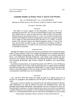 Assembly Studies on Potato Virus Y and its Coat Protein
