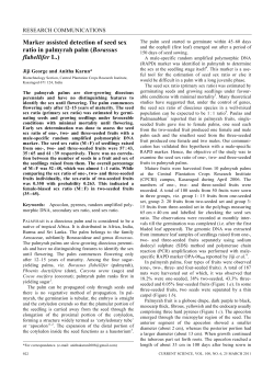 Marker assisted detection of seed sex ratio in