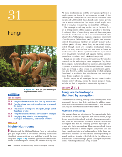 Mighty Mushrooms Fungi are heterotrophs that feed by absorption