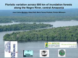 Floristic variation across 600 km of inundation forests along the