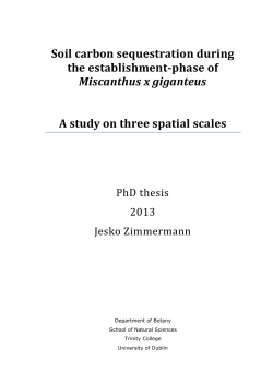 Soil carbon sequestration during the establishment