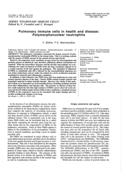 Pulmonary immune cells in health and disease