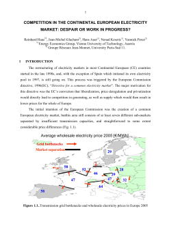 COMPETITION IN THE CONTINENTAL EUROPEAN ELECTRICITY