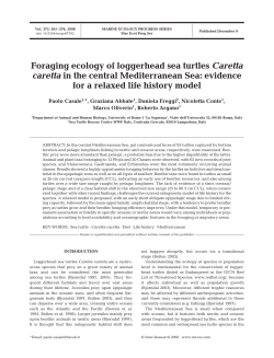 Foraging ecology of loggerhead sea turtles Caretta caretta in the