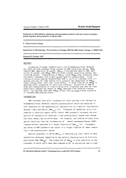 Production of DNA bifilarly substituted with bromodeoxyuridine in