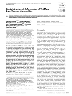 Crystal structure of A3B3 complex of VATPase from Thermus