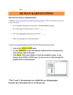human karyotyping