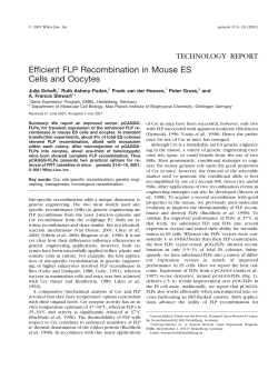Efficient FLP recombination in mouse ES cells and oocytes