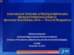 International Outbreak of Multiple Salmonella Serotype