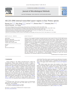 16S-23S rDNA internal transcribed spacer regions in four Proteus