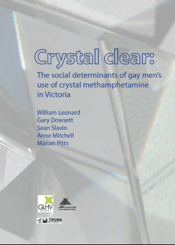 Crystal Clear: The social determinants of gay men`s use of