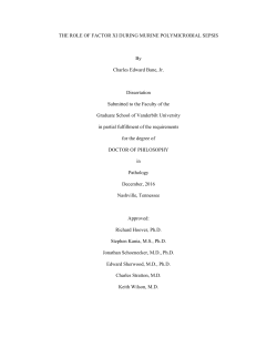 THE ROLE OF FACTOR XI DURING MURINE POLYMICROBIAL