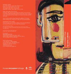Picasso TV 30.06.2014 - 16.11.2014 Eye Games. Collection 14.03