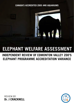 Elephant Programme Accreditation Variance