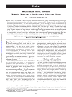 Stress (Heat Shock) Proteins