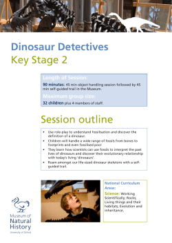Dinosaur Detectives Teacher Sheet