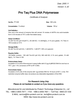 Pro Taq Plus DNA Polymerase