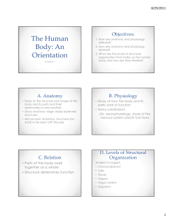 The Human Body: An Orientation