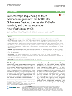 Low coverage sequencing of three echinoderm