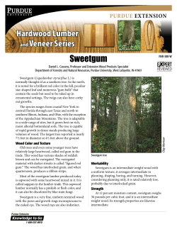 Hardwood Lumber and Veneer Series: Sweetgum